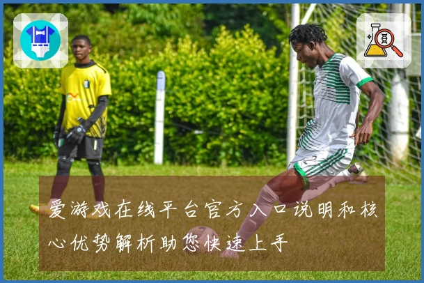 爱游戏在线平台官方入口说明和核心优势解析助您快速上手