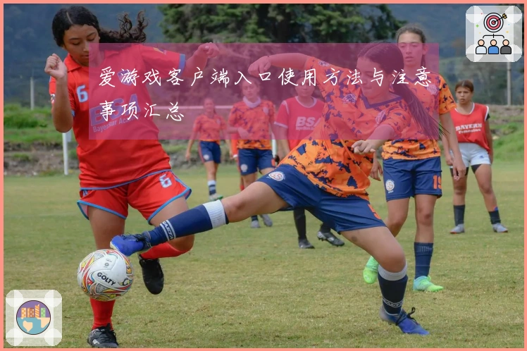 爱游戏客户端入口使用方法与注意事项汇总